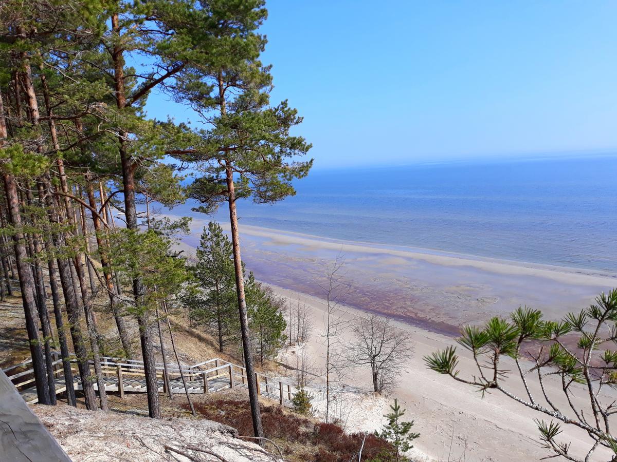 Atputas Vieta Braltirumi Purciems Esterno foto
