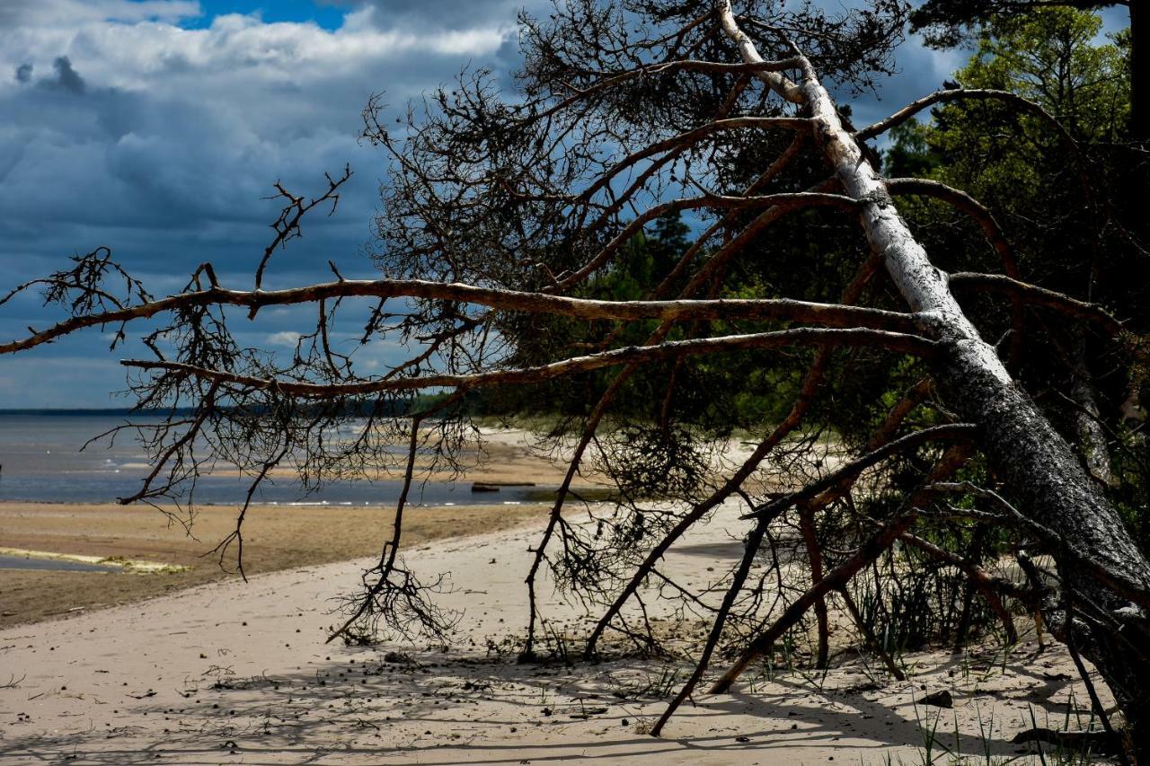 Atputas Vieta Braltirumi Purciems Esterno foto
